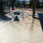 『創作ダンス(^o^;)』の画像