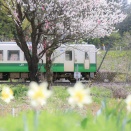 JR東日本郡山総合車両センターキハ110系@キハ110-223（水仙）