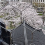 自転車日本縦断の夢