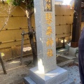 2026年　初詣🎍⛩