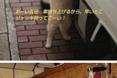 ビッグモーター、客の車をミスで炎上させて「隠蔽」していた