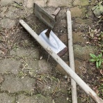 気比野菜（減農薬・無農薬で米・野菜作りに挑戦）