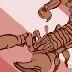 今週のアパラチア：12月17日～12月23日