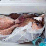 みなもと渡船のオフィシャルblog