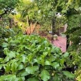 ���ġ��ȡ٤β���