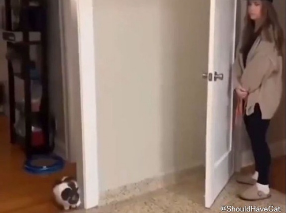 猫と女性のかくれんぼ対決…猫が圧勝してしまうとき