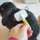 前借りをしたこんぶ。