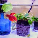 簡単じゃないよ。