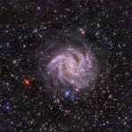 ninzyaの星見