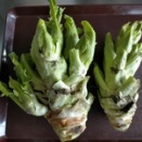 ずーっと苦しい