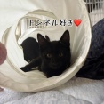 おもちゃはこういう時のために。