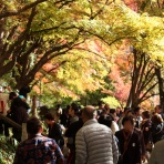 Will just wait for Spring