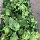 4/14（火）営業します