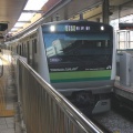 根岸線　E233系6000番台　H015