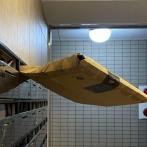 X民「Amazonのポスト投函雑すぎて荷物パクられたわ！」→サポートに問い合わせた結果、信じられない展開に・・・