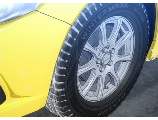 【朗報】タイヤ泥棒、タイヤに巣を作っていたアシナガバチに襲われ逮捕