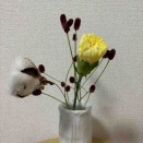 掃除をしました。