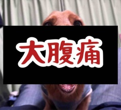 体調不良。