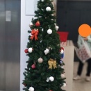 みどりむし、「Tスーパー」でクリスマスツリーを見かける