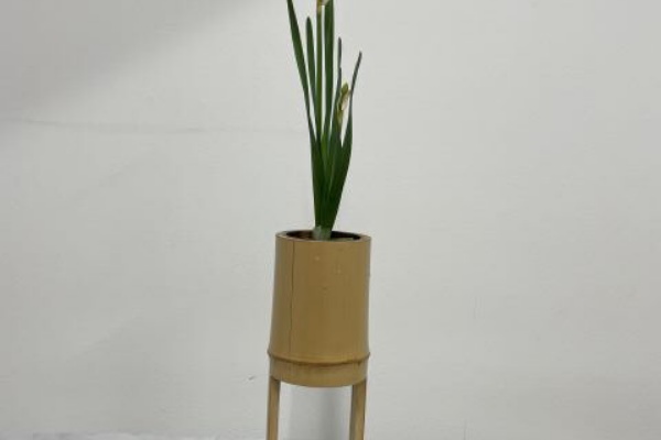 花と短歌と竹原と - 水仙