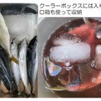鮎釣りおじさん