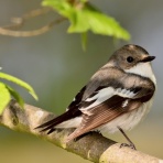 友だちいない研究所