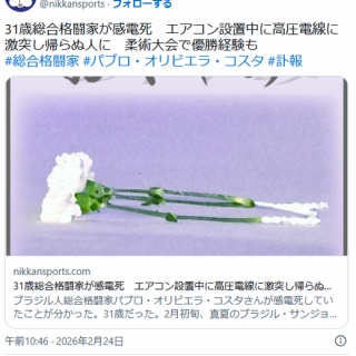 痛いニュース(ﾉ∀`)