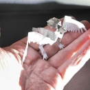 アケノシルム風Kirittai