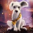 【#ボビ映26】映画『スーパーガール』スポット！ #Supergirl