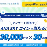 『ANA SKY コイン3万円分が当たる！ANAのふるさと納税アンケートキャンペーン』の画像