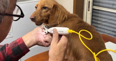 撮れ高無しなので引っぱり出した写真なぞ。