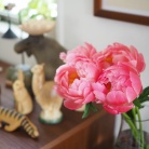 花に興味のないとーさんも、「綺麗やなぁ！」と思わず言った、大輪の花を咲かせるあのお花を飾ってみた！ビフォアフあり！