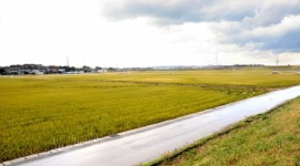 【福井】ウオーキング中に落雷受け死亡か…１３日夕から不明の女性、現場付近は農耕地が広がる