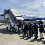 ディスカスの逍遥日誌