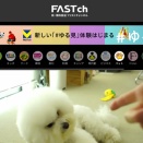 【検証】話題の「FASTチャンネル」とは？-スマートテレビ向けの完全無料の放送型配信サービス