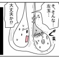 ほけんだより