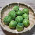 NASA(アメリカ航空宇宙局)の宇宙食　まとめ フリーズドライ食品①