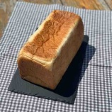 ��2021.04.21�������Ǥ�������ÿͥ��ɤ�TV��Ͽ������ޤ������٤β���