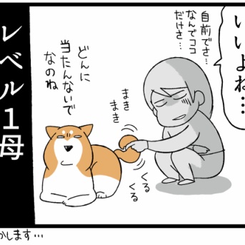 「子供の髪結びレベル１」の母に与えられし難関ミッション