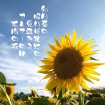 孝之助のフォト和歌ブログ