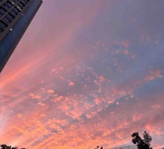 2025年11月　楽天セール、お買い物マラソンで買うもの買ったもの