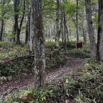 okalin blog『岡本輪業』