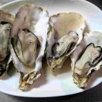 長崎B級グルメ紀行！