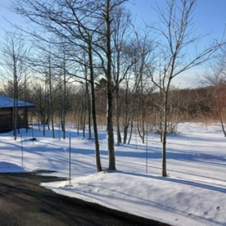 森の温泉～駒の湯温泉通信