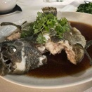 Tao Chinese Cuisine（マレーシア・クアラルンプール）の「龍虎斑清蒸」（2025/8/11）