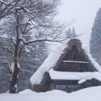 五箇山彩時季　四季合掌 +α
