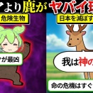 クマより鹿がヤバイ理由