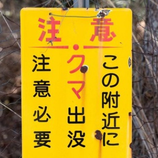 登山ちゃんねる