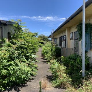 散歩と旅ときどき温泉