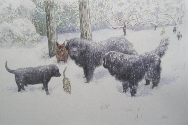 デッサン画は楽しく 絵画と雑文 甲斐犬